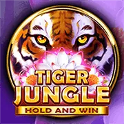 Hỗ trợ email 79ok win