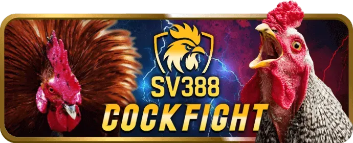 Giao diện người dùng với các chương trình khuyến mãi hấp dẫn từ 79ok Win